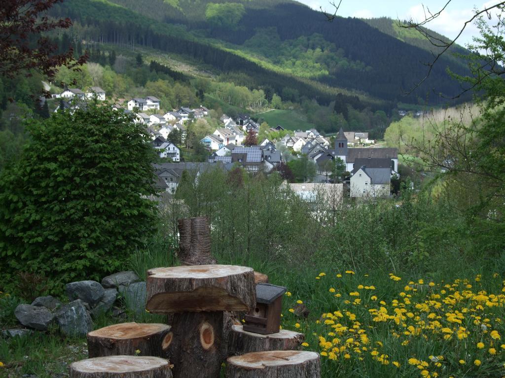 Haus Mittelberg Apartment Olsberg Room photo