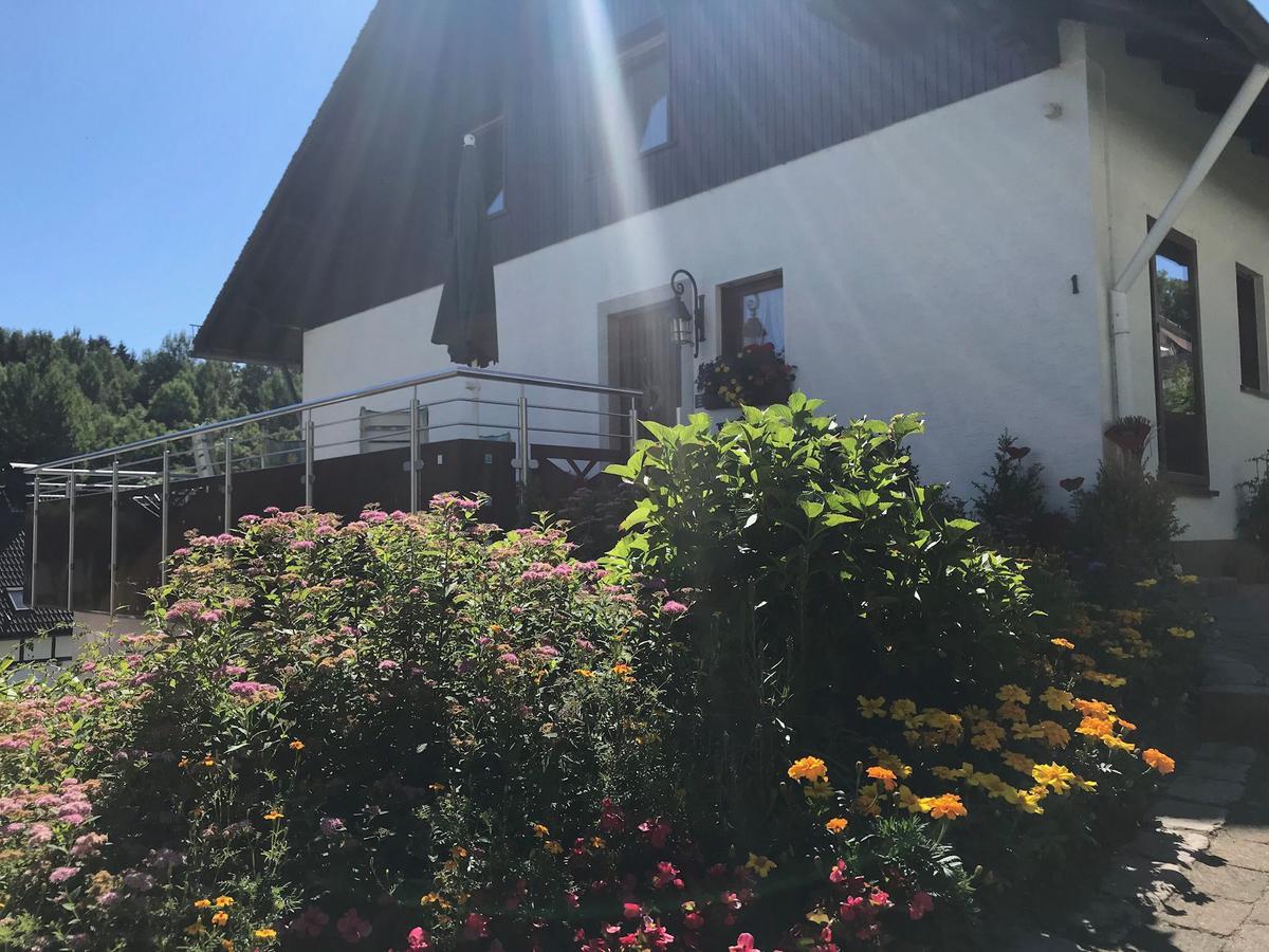 Haus Mittelberg Apartment Olsberg Exterior photo
